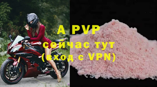 крисы Ростов